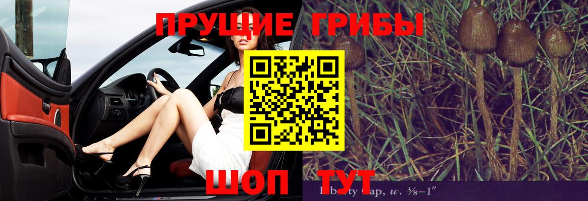 Галлюциногенные грибы Psilocybe  Вход с VPN  Кировск 